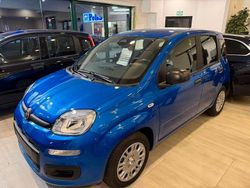 Blu Nuova 2025 Fiat Panda Tre volumi | 14.900 €
