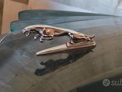 Verde Usata 1986 Jaguar XJ6 Tre volumi | 21.000 €