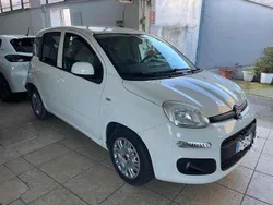 Vari colori Usata 2016 Fiat Panda Due volumi | 6900 € (Ottimo prezzo)