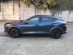 Grigio Usata 2023 Cupra Formentor SUV | 29.500 € (Buon prezzo)