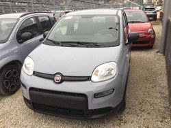 Grigio moda pastello Usata 2023 Fiat Panda Tre volumi | 10.500 € (Buon prezzo)