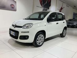Bianco Usata 2019 Fiat Panda Easy Tre volumi | 10.500 € (Buon prezzo)