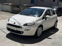 Bianco Usata 2017 Fiat Punto Lounge Due volumi | 7600 € (Buon prezzo)