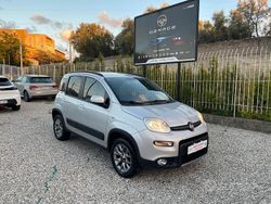 Grigio Usata 2017 Fiat Panda 4x4 S Due volumi | 10.900 € (Buon prezzo)