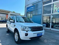 Bianco Usata 2011 Land Rover Freelander 2 SUV | 6500 € (Ottimo prezzo)