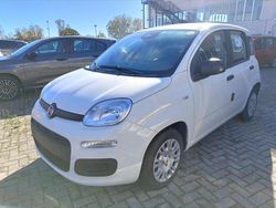 Bianco Nuova 2025 Fiat Panda S Due volumi | 16.450 €