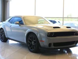 Grigio Usata 2021 Dodge Challenger SXT Coupé | 30.750 € (Super prezzo)