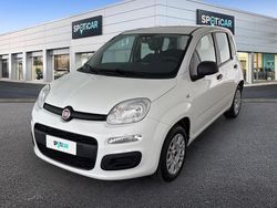 Bianco Usata 2019 Fiat Panda Easy Due volumi | 9850 € (Buon prezzo)