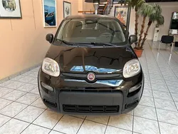 Nero(met.) Nuova 2025 Fiat Panda Launch Edition Due volumi | 13.500 €