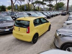 Giallo Usata 2013 Skoda Citigo Ambition Due volumi | 9800 €