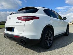 Bianco Usata 2020 Alfa Romeo Stelvio Business SUV | 24.500 € (Molto cara)