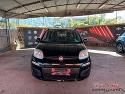 Nero Usata 2019 Fiat Panda Easy Due volumi | 8790 € (Buon prezzo)
