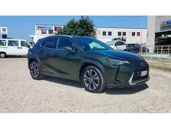 Verde(met.) Usata 2019 Lexus UX Executive Line SUV | 19.900 € (Buon prezzo)