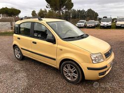 Giallo Usata 2006 Fiat Panda Due volumi | 3600 € (Cara)