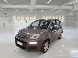 Grigio Usata 2020 Fiat Panda Easy Due volumi | 8150 € (Buon prezzo)