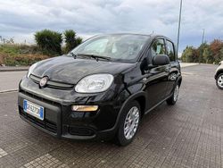 Nero Usata 2023 Fiat Panda Cross Cross Due volumi | 12.400 € (Buon prezzo)