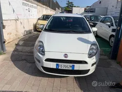 Bianco Usata 2016 Fiat Punto Lounge Due volumi | 4000 € (Super prezzo)