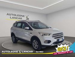 Bianco Usata 2019 Ford Kuga Business Edition SUV | 16.380 € (Ottimo prezzo)