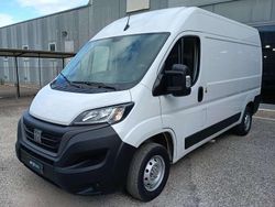 Bianco Usata 2024 Fiat Ducato 33 Furgone | 25.900 € (Molto cara)