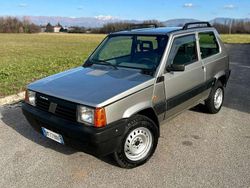 Argento Usata 2000 Fiat Panda 4x4 Trekking Due volumi | 7500 € (Molto cara)