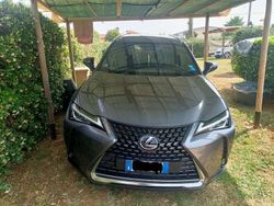 Usata 2021 Lexus UX Luxury Line SUV | 25.000 € (Cara)