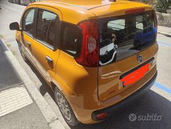 Usata 2020 Fiat Panda Easy Due volumi | 9300 € (Ottimo prezzo)