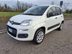 Bianco Usata 2019 Fiat Panda 4x4 Due volumi | 9200 € (Super prezzo)