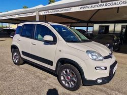 Beige Usata 2013 Fiat Panda 4x4 S Due volumi | 9990 € (Cara)