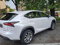 Bianco Usata 2017 Lexus NX300h SUV | 22.400 € (Buon prezzo)