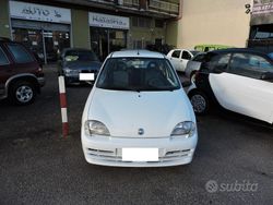 Bianco Usata 2004 Fiat Seicento Active Due volumi | 3000 € (Cara)