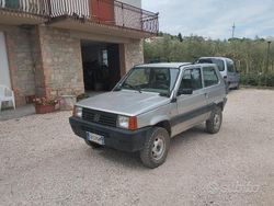 Grigio Usata 2002 Fiat Panda 4x4 Trekking Due volumi | 8500 € (Cara)