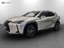 Grigio argento Usata 2022 Lexus UX 250h Executive Line SUV | 20.900 € (Super prezzo)