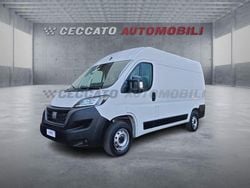 Bianco Usata 2024 Fiat Ducato Furgone | 19.393 € (Super prezzo)