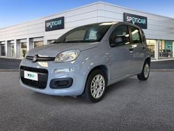 Grigio Usata 2020 Fiat Panda Easy Due volumi | 9950 € (Buon prezzo)