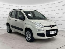 Beige Usata 2015 Fiat Panda Easy Tre volumi | 5600 € (Buon prezzo)