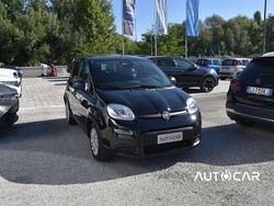 Nero Usata 2024 Fiat Panda Due volumi | 13.000 € (Buon prezzo)