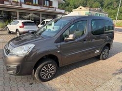 Grigio Usata 2018 Peugeot Partner Tepee Active Monovolume | 18.519 € (Molto cara)