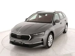 Grigio Usata 2024 Skoda Octavia Executive Station wagon | 28.500 € (Buon prezzo)