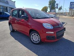 Rosso Nuova 2025 Fiat Panda S Due volumi | 14.600 €