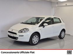 Bianco Usata 2015 Fiat Punto Street Due volumi | 7490 € (Cara)