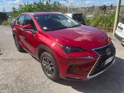 Grigio Usata 2018 Lexus NX300h Business Edition SUV | 21.900 € (Buon prezzo)