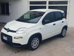 Bianco Usata 2023 Fiat Panda Tre volumi | 12.900 € (Cara)