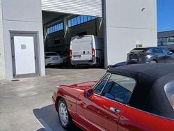 Usata 1990 Alfa Romeo Spider Cabrio | 31.000 €