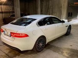 Usata 2019 Jaguar XE Tre volumi | 19.800 € (Molto cara)
