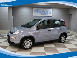 Gray Usata 2023 Fiat Panda Tre volumi | 10.900 € (Buon prezzo)