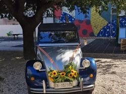 Grigio Usata 1983 Citroën 2CV Charleston Tre volumi | 8000 €