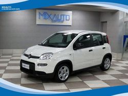 Bianco Usata 2024 Fiat Panda Tre volumi | 11.900 € (Buon prezzo)