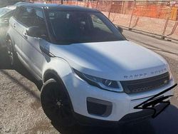 Bianco Usata 2017 Land Rover Range Rover evoque Pure SUV | 11.850 € (Super prezzo)