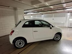 Bianco Usata 2019 Fiat 500 | 11.500 € (Cara)