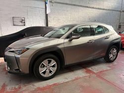 Atomic silver Usata 2019 Lexus UX 250h Business Edition SUV | 22.300 € (Buon prezzo)